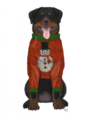 Christmas Des - Rottweiler in Christmas Sweater