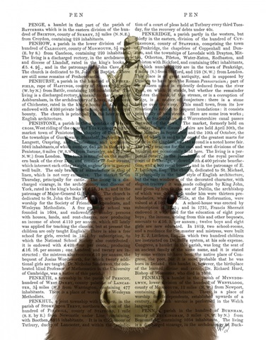 Donkey Bodhisattva Book Print