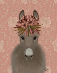 Donkey Bohemian 1