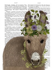 Donkey Bohemian 2 Book Print