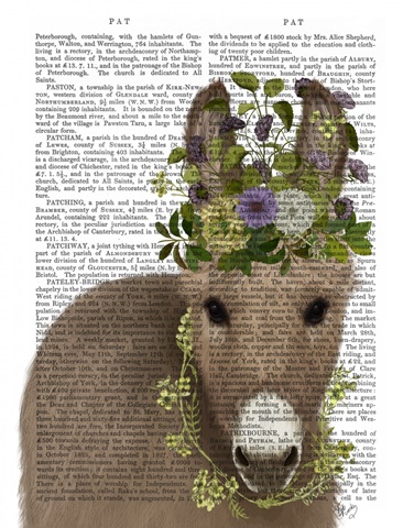 Donkey Bohemian 2 Book Print