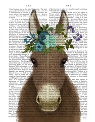Donkey Bohemian 3 Book Print