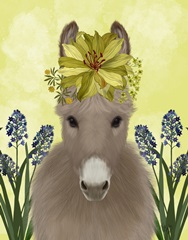 Donkey Sunflower