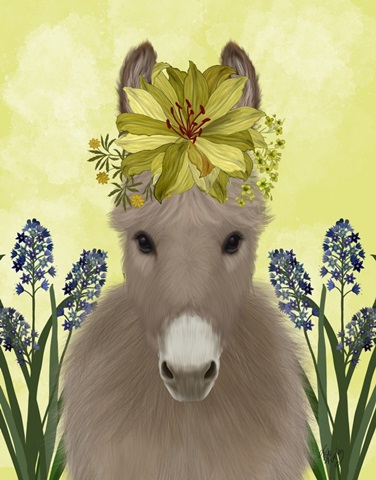 Donkey Sunflower