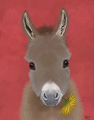 Donkey Yellow Flower