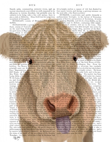Funny Farm Cow 1 Book Print