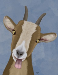 Funny Farm Goat 3