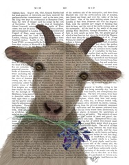 Goat and Bluebells Book Print