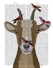 Goat and Red Birds Book Print