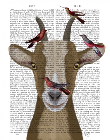 Goat and Red Birds Book Print