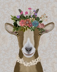 Goat Bohemian 3