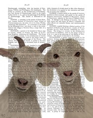 Goat Duo, Looking at You Book Print
