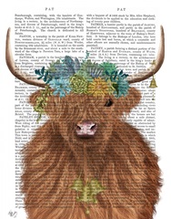 Highland Cow Bohemian 1 Book Print