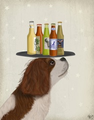 King Charles Spaniel Brown White Beer Lover