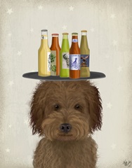 Labradoodle Brown 1 Beer Lover