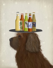Labradoodle Brown 2 Beer Lover