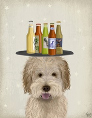 Labradoodle Gold 1 Beer Lover