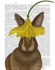 Daffodil Rabbit Book Print