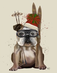 English Bulldog, Skiing