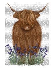 Highland Cow, Bluebell Book Print