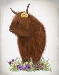 Highland Cow, Pansy