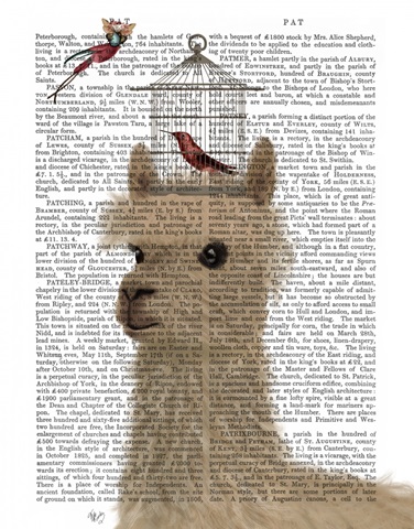 Llama and Birdcage Book Print