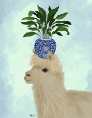 Llama Aspidistra