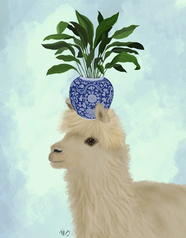 Llama Aspidistra