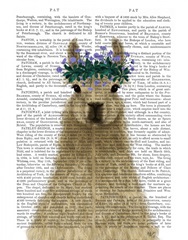 Llama Bohemian 1 Book Print