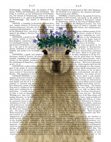 Llama Bohemian 1 Book Print