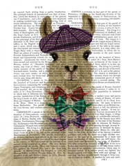 Llama Dapper Book Print