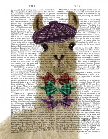 Llama Dapper Book Print