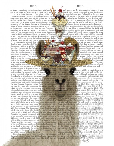 Llama Ice Cream Hat Book Print
