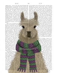 Llama with Purple Scarf, Portrait Book Print