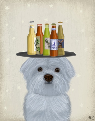 Newfoundland Beer Lover