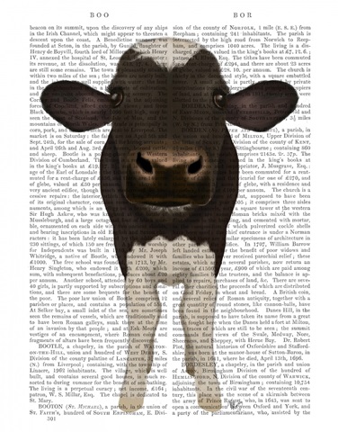 Nosey Cow 2 Book Print