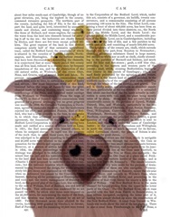 Pig and Ducklings Book Print