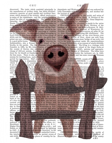Pig On Fence Book Print