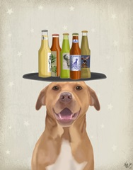 Pomeranian Beer Lover