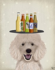Poodle Beer Lover