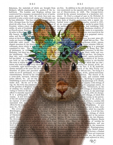 Rabbit Bohemian Book Print