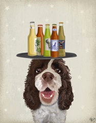 Springer Spaniel Brown White Beer Lover