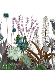 Wildflower Bloom, Snail Bird