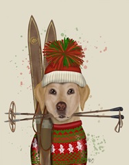 Yellow Labrador, Skiing