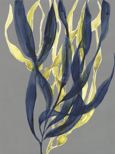 Kelp Embrace I