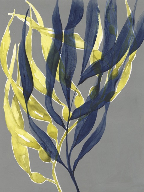 Kelp Embrace II