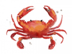 Crab Cameo I