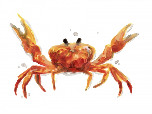 Crab Cameo II