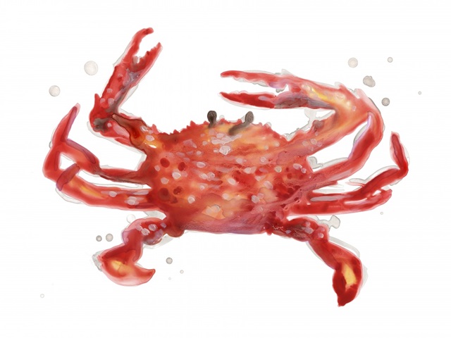 Crab Cameo IV