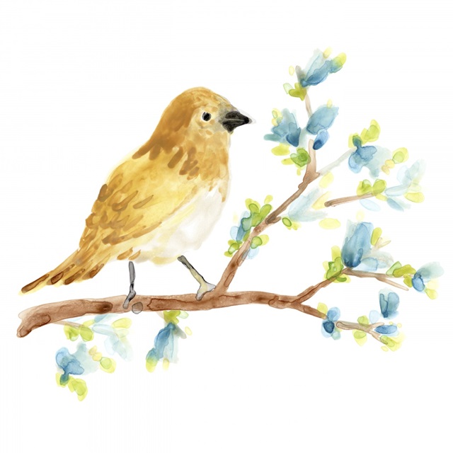 Springtime Songbirds III